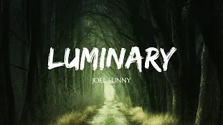 Joel Sunny - Luminary