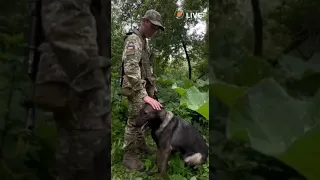 якщо порушник не зупиняється на вимогу, тоді йому доводиться мати справу із Ферґі