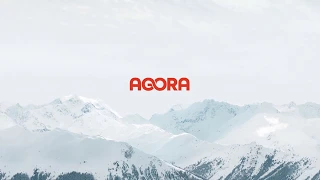 B2B платформа электронной коммерции - AGORA