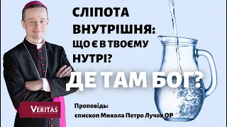 Сліпота внутрішня: що є в твоєму нутрі? Де там Бог? Проповідь: єпископ Микола Петро Лучок ОР