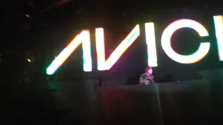 Avicii Live Ushuaïa 2015