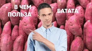 В чем польза БАТАТА?