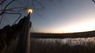 Oklahoma public land duck hunt