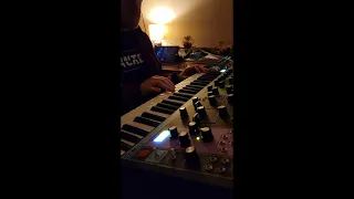 Moog Matriarch Ambient // Playing Arpeggiator and random patch