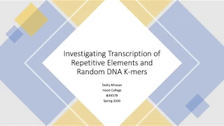 Investigating Transcription of Repetitive Elements and Random DNA K-mers