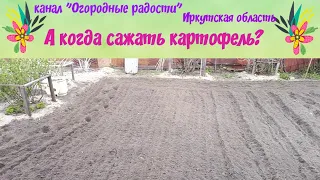 А когда сажать картофель?