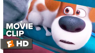 The Secret Life of Pets 2 Movie Clip - Max Meets Pets in the Vet (2019) | Movieclips Coming Soon