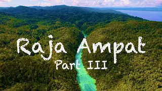 Raja Ampat (4K), Waigeo, Indonesia, Western Papua, 2022, Biodiversity, Birds of Paradise and Diving