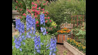 June Backyard Cottage Garden Tour