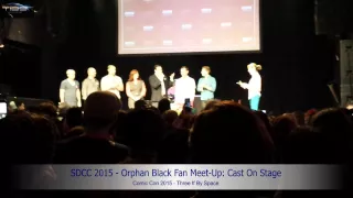 SDCC 2015 - Orphan Black Fan Meet-Up: The Cast On Stage