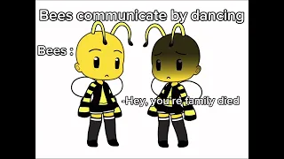 Bees communicate by dancing be like :