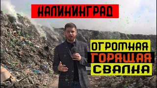 Причины пожара на мусорном полигоне "Ельняки" | Калининградская область