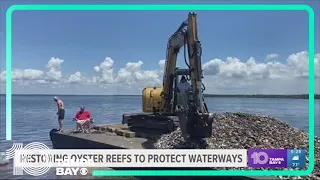 22 tons of oysters released into Turtle Bay in Charlotte Harbor