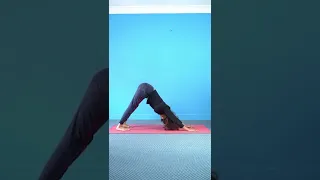 1 Pose Many Benefits - Downward Facing Dog