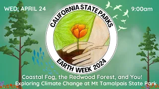 EARTH WEEK: Coastal Fog, the Redwood Forest, and You! Exploring Climate Change at Mount Tamalpais