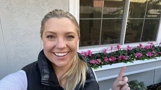 Happy New Year!  Let's Plant Up A Window Box With Some PINK! 🌸🌸🌸 :: Gardening in January