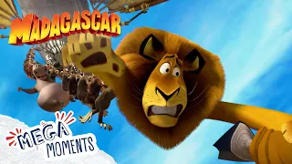 The Hunt for Alex 🦁 | Madagascar 3 | Compilation | Mega Moments