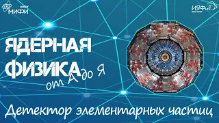 Ядерная физика от А до Я. Д - Детектор элементарных частиц