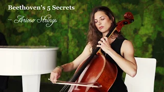 Beethoven 5 Secrets