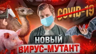 Новый вирус: что нас ждет. Эпидемия свиного гриппа. Симптомы. Ждем новый локдаун?