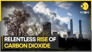 NASA video shows carbon emissions on earth | Latest World News