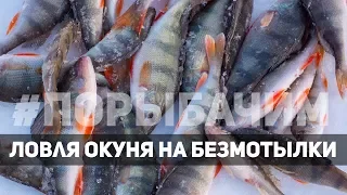 Забытая Секретная мормышка дает фору всем. Окунь на безмотылку в корягах  #порыбачим