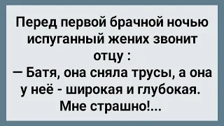 Перед Первой Брачной Ночью Испуганный Жених Звонит Отцу! Сборник Свежих Анекдотов! Юмор!