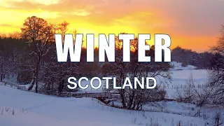 A Scottish Winter | Nature & Wildlife Walk, In The Snow, Around My Home In West Edinburgh, Scotland