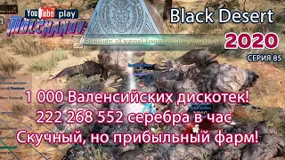 Валенсийская дискотека. Black Desert Фарм серебра 2020. Лучница.