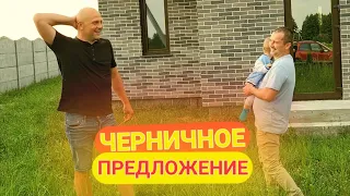 Черничники предлагают переехать к ним. Печки лавочки VLOG. GEKTOR муравьиная гроза