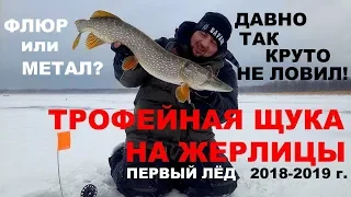 ТРОФЕЙНАЯ ЩУКА НА ЖЕРЛИЦЫ! Зимняя Рыбалка. НАСТОЯЩИЙ ЖОР В МЕТЕЛЬ! Первый Лёд 2018 - 2019 г.