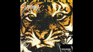 Eye of the tiger - Survivor Voice Cover