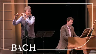 Bach - Flute sonata in B minor BWV 1030 - Root and Van Delft | Netherlands Bach Society