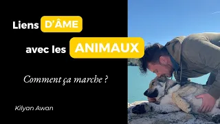 Comment fonctionnent les liens karmiques avec les animaux ?