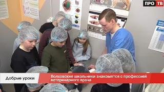 Добрые уроки: волховские школьники знакомятся с профессией ветеринарного врача