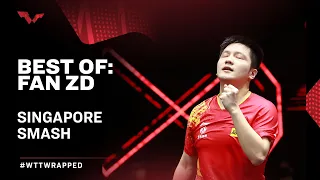 Fan Zhendong | Singapore Smash Wrapped 2022