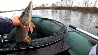 Жадные щуки глотают эти приманки по самые жабры! Рыбалка со спиннингом на пруду!