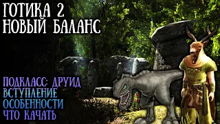 ДРУИД: Вступление, Что Качать, Возможности и Особенности | Готика 2: Новый Баланс