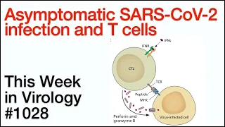 TWiV 1028: Asymptomatic SARS-CoV-2 infection and T cells