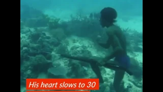 Superhuman Man Walks On Ocean Floor To Hunt Fish