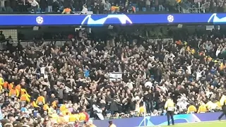 Tottenham Fans Celebrating Qualify To Champions League Semi Final