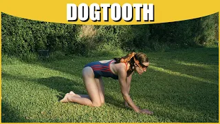 DOGTOOTH - 2024 Cannes Remote Watch Along (KINDS OF KINDNESS)
