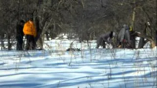 кастер в парке 18го века в городе Богородицк