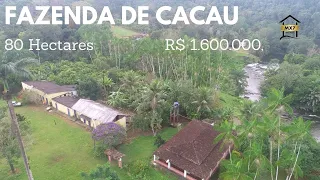 Fazenda Produtora de Cacau com 80 Hectares. R$ 1.600.000,