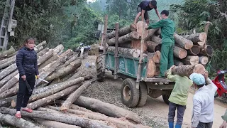 Amazing Woodworking Machines, Transporting timber - Technique assembling plank flooring - Farm Life