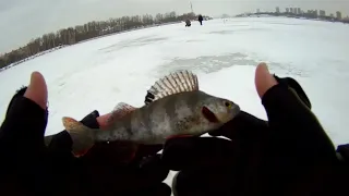 РЫБАЛКА – ЭТО МОЯ ЗАРЯДКА! ЛОВЛЯ ОКУНЯ ЗИМОЙ НА БЕЗМОТЫЛКУ. ХИМКИНСКОЕ ВОДОХРАНИЛИЩЕ.