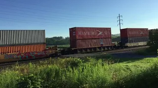 Westbound NS 23M Elephant Style Intermodal Annville PA