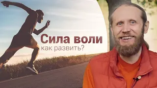 Как развить силу воли? Где взять энергию, чтобы стать лучше?