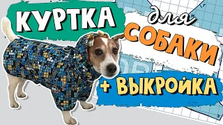 КУРТКА ДЛЯ СОБАКИ своими руками/ Выкройка куртки для собаки