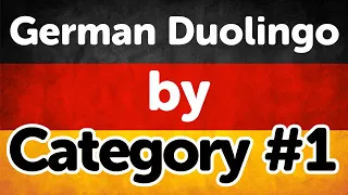 Duolingo and German Basic Vocab Practice #1 (Adjective, Food, Animal etc)